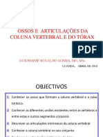 5-AULA SOBRE OSSOS E AS ARTICULAÇÕES DA COLUNA VERTEBRAL E DO TÓRAX.ppt