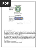 Download New Microsoft Office Word Document by Thegreendevil Novry SN40593727 doc pdf