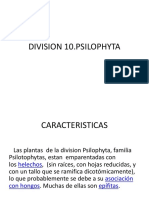 Características y reproducción de las plantas de la división Psilophyta