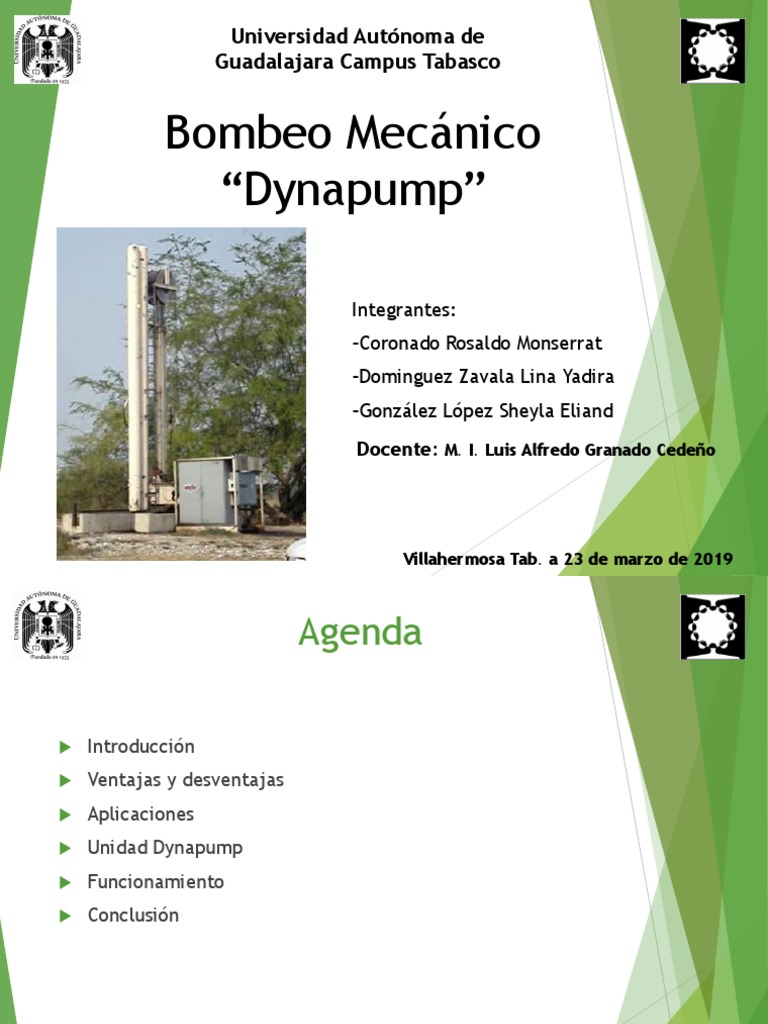 Dyna Pump PDF Bomba Ingeniería mecánica