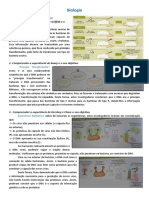 Crescimento e Renovacao Celular - Resumo - 2