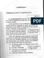Raiter - Lenguaje en Uso PDF