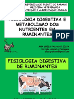 201836_82825_FISIOLOGIA+DIGESTIVA+E+METABOLISMO+DOS+NUTRIENTES+EM+RUMINANTES.pdf