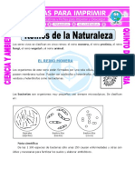 Ficha Reinos de La Naturaleza para Quinto de Primaria PDF