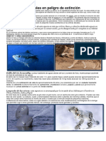 Animales en peligro de extinción.docx