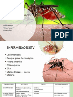 Alertas Epidemiologicas Etv Terminado PDF