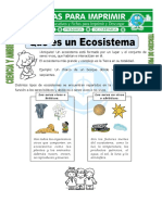 Mega 3° Ecosistema PDF