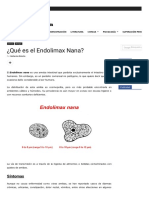 Webpage To PDF