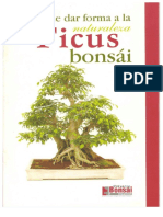 Ficus Bonsai PDF