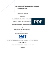 Finalized Report PDF