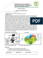 Practicas Lab 1 FLOE Ppozo