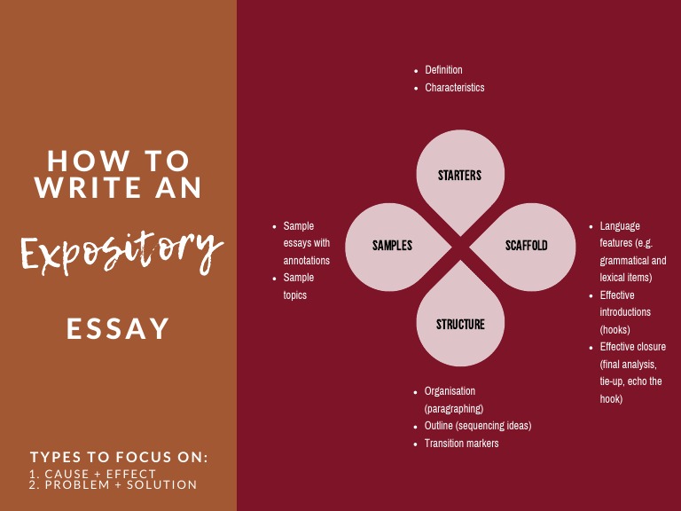 Expository Essay Writing Guide | PDF