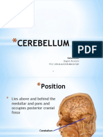 Cerebellum: Bagian Anatomi Fkik-Uin Alauddin Makassar