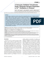 Both Neurons and Astrocytes Exhibited Tetrodotoxin- Resistant Metabotropic Glutamate Receptor-Dependent Spontaneous Slow Ca Oscillations in Striatum