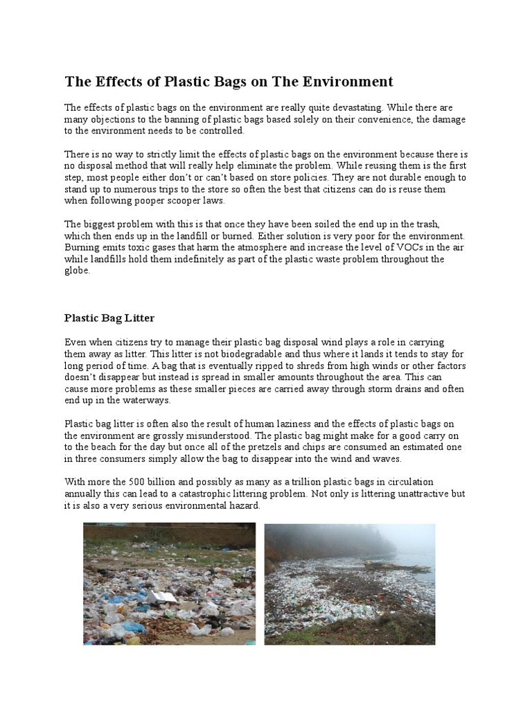 The Effects of Plastic Bags On The Environment PDF Recycling Plastic