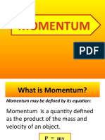 Momentum Webversion