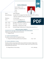 Curriculum Vitae (CV)