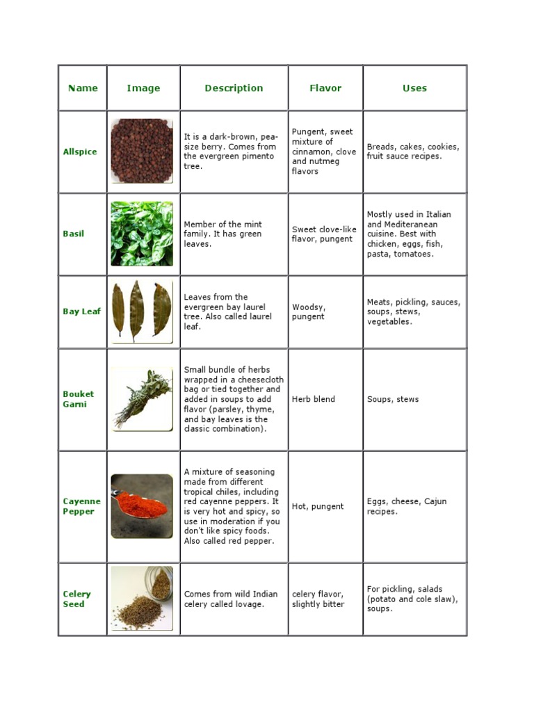Herbs and Spices PDF Coriander Dill