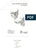 Human Anatomy Manual The Skeleton PDF