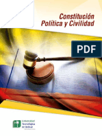 Constitucion Publica - Web PDF