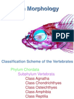 Fish Morphology and Classification