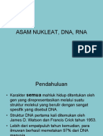 4_ASAM_NUKLEAT_DNA