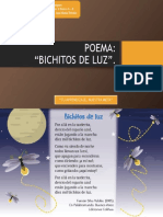 Bichitos de Luz PDF