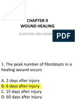 Wound Healing PDF