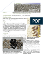 mucuna.pdf