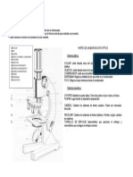 1º_PRÁCTICA_microscopio