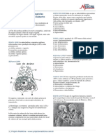 Organelas Citoplasmáticas.pdf