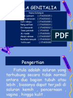 Fistula Genitalia