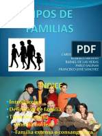 tiposdefamilias-110307144416-phpapp01.pptx