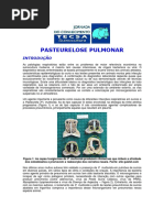 PASTEURELOSE PULMONAR