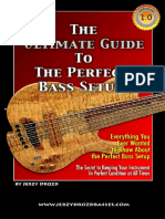 Ultimate Guide Bass Setup.pdf