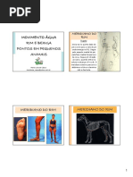 ACUPUNTURA. (apostila) CÁPUA. Movimento água (rim e bexiga em pequenos animais).pdf
