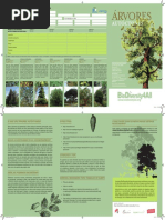 Ficha ArvoresAutoctones