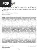 Os Principios Da Celeridade e Da Efetividade Processual a Luz Do Modelo Constitucional Do Processo