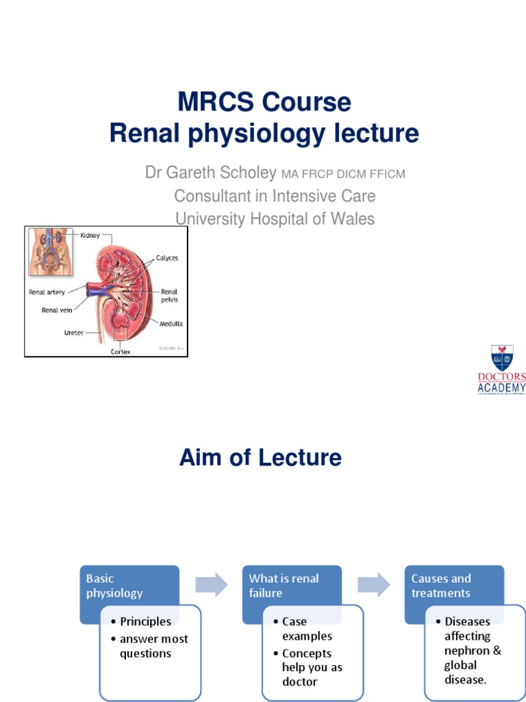 4 5787572421108171420 PDF | PDF | Renal Function | Creatinine