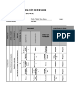 Matriz de Riesgos