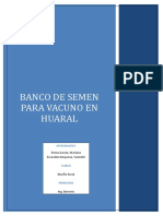 Banco de Semen - Informe 1 PDF