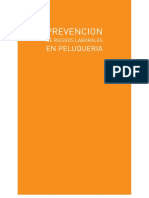 PrevenciondeRiesgosLaboralesenPeluqueria.pdf