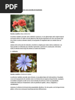 30 02 Glosario De Plantas Www Gftaognosticaespiritual Org