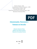 Organização, Processo e Tomada de Decisão