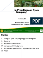 Manajemen Pemeliharaan Ayam Kampung