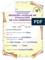 registroauxiliardeevaluacion2016-160403025009.pdf