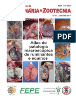 Atlas de Patologia Macroscópica de Ruminantes e Equinos - Caderno Técnico 84.pdf