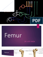 femur-151205075833-lva1-app6891