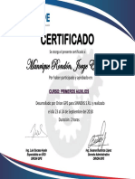 Certificados Primeros Auxilios PDF