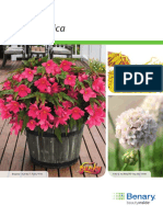 Begonia Benarensis (ES - INT - Technical - Guide) PDF